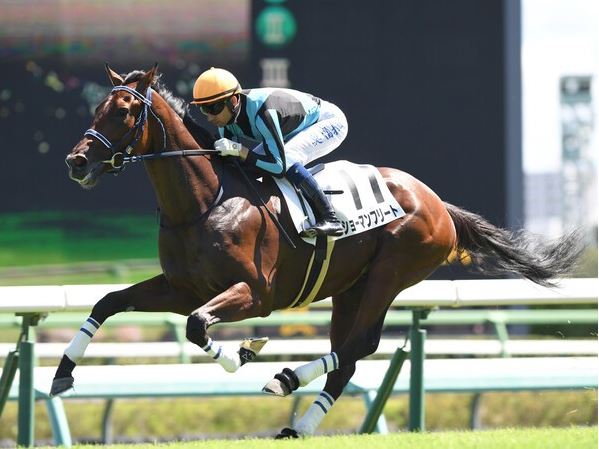 昨年９月、中山・芝1600ｍの新馬戦を勝利したショーマンフリート